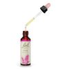 Bach Original Flower Remedy Wild Oat 20 ml