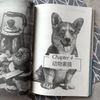 素描基础教程从新手到高手