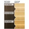 Schwarzkopf Color Expert Lightener L9, 200 ml