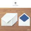 Midori 20570006 Envelopes, 2 Colors, Blue
