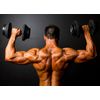 Tribulus Terrestris Extract 1000mg - Muscle Gainer - 2B 180 Tablets