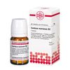 DHU Carduus marianus D2 Tabletten, 80 St. Tabletten