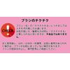Shishida Seishindo PA-05 Makeup Brush, Brush & Comb