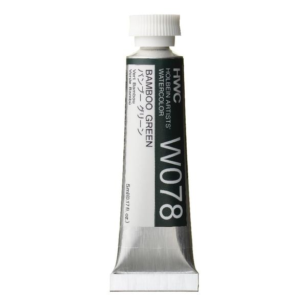 Holbein W078 Transparent Watercolor Paint, Bamboo Green, 0.16 fl oz (5 ml) (No.2), 003078