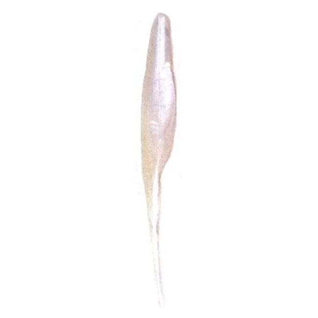 Bass Assassin Shad-4 Per Bag