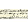 Transparent 115 g DIN A4 5 Sheet Music Chamois/Black