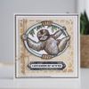 Sue Wilson - Safari Collection - Sloth - Craft Die