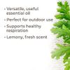 Plant Therapy Citronella Essential Oil 10 mL (1/3 oz) 100% Pure, Undiluted, Therapeutic Grade