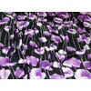 Minerva Crinkle Satin Fabric Purple - per metre