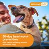 Advantage Multi Topical Solution for Dogs 1 Dose, 20.1-55 lbs (Red)