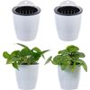 Wall Mounted White Plastic Self Watering Planter Pots, Tabletop Plant Container