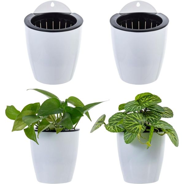 Wall Mounted White Plastic Self Watering Planter Pots, Tabletop Plant Container