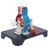 Physical Experiment Motor Electromotor Model, Motor Model Model Educational Mini Motor Generator Model Kit for Teaching (small electric motor)