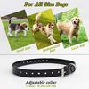 Petrainer Upgraded Model Rechargeable & Waterproof Remote Dog Training Collar...