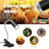 FUNKS Ultraviolet Light Replacement E26 25W Reptile Turtle Turtle Light for Turtle Patio Turtle Patio