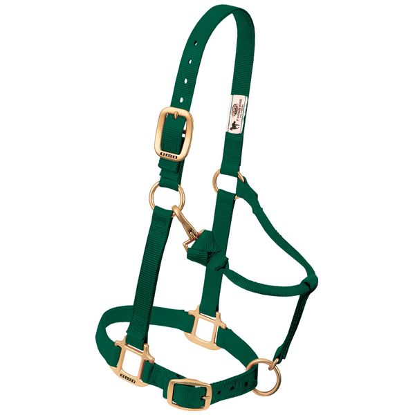 Weaver Leather Original Adjustable Nylon Horse Halter, Suckling, Hunter Green