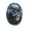Crystal Vaults Indigo Gabbro Palm Stone