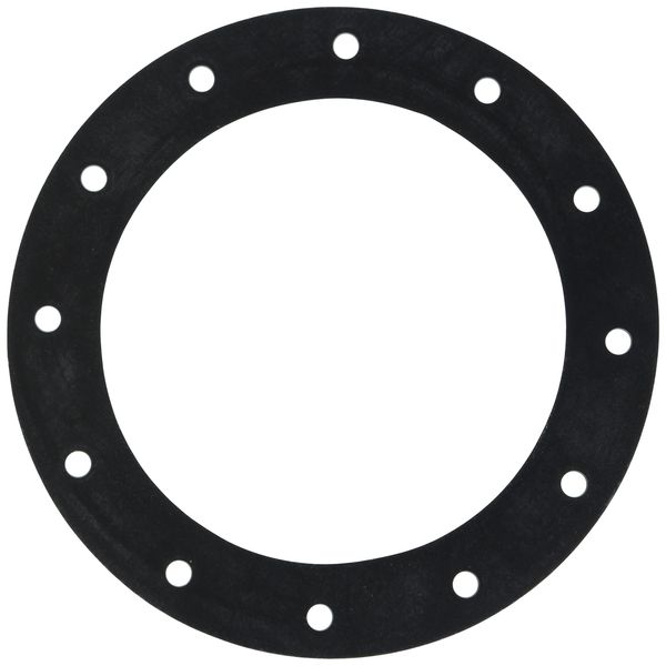 Jaz Products 850-301-01 12-Hole Flange Gasket