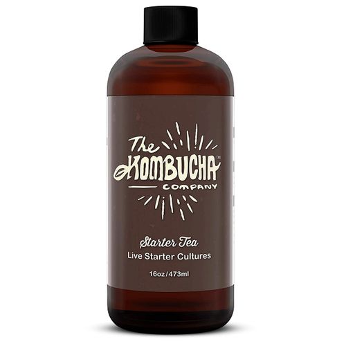 Kombucha Starter Tea | Grow SCOBY From Scratch | 16 oz Bottle | Live Cultures for Brewing 1 Gallon of Homemade Kombucha Tea | By The Kombucha Company