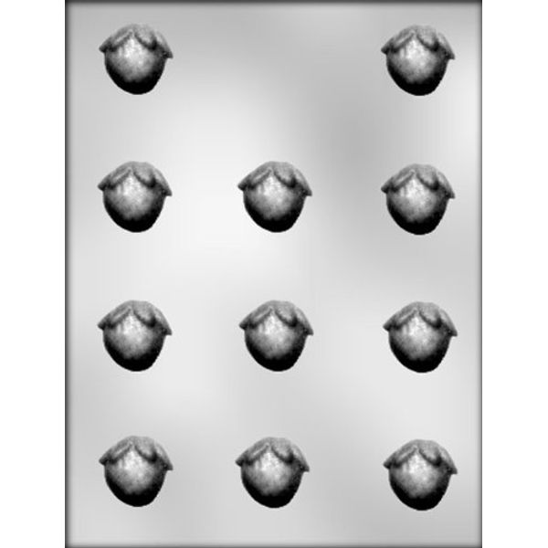 CK Chocolate Candy Mold with Strawberry