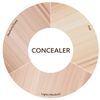 BURT'S BEES - Concealer Medium/Dark - 0.22 oz. (6.23 g)