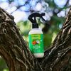 Locsanity Grapefruit Coconut & Lime Daily Moisturizing Spray Fine Mist