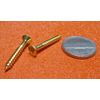 Brass #6  Phillips Flat Head Wood Screw x 1.00" Length, 100 Pcs