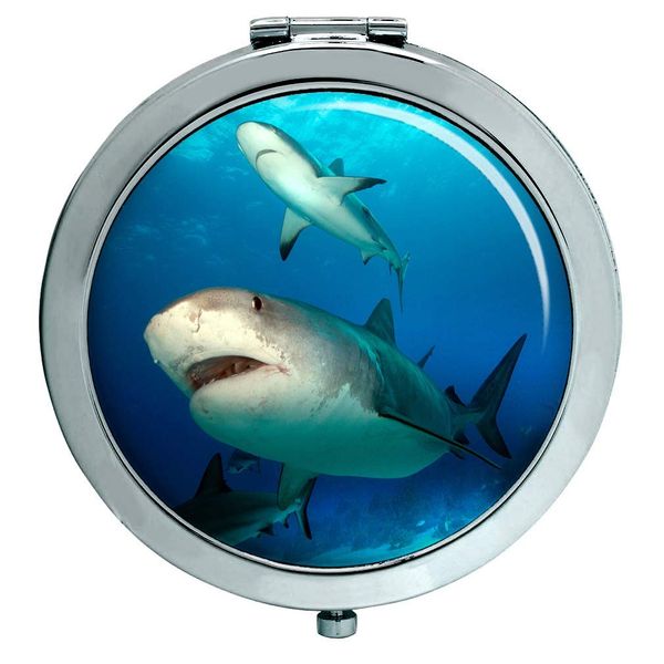 Shark Compact Mirror