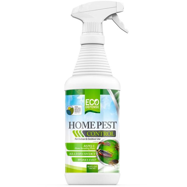 Eco Defense USDA Biobased Pest Control Spray - Ant, 16 Fl Oz (Pack of 1)