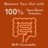 Bacillus B3 Probiotics  - Bacillus Subtilis, Coagulans Clausii Enzymes prebiotic
