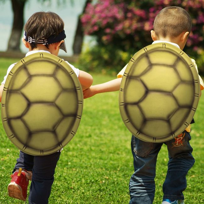 Turtle shell backpack - Trove Costumes