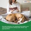 2-Pack Vitamatic Melatonin for Dogs  6 mg  120 Beef Flavored Chewable Tablets