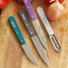 Opinel - Art Déco Essentials Knife Box Set