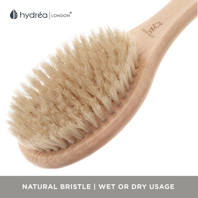 Hydrea London Dry Body Brush Long Handled Exfoliating Skin Brush with Vegan  Cactus Bristle, Dry Brush Cellulite Remover, Exfoliating Body Scrubber