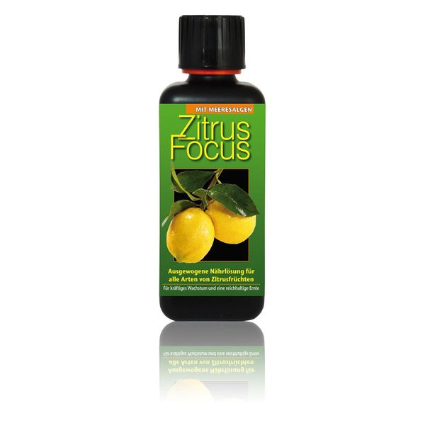 Citrus Focus Fertiliser 300 ml Liquid Fertiliser Concentrate Orange Fruit Lemon