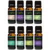 ZaVBe 100% Pure Essential Aromatherapy Oils Gift Set 8 Pack, 10ML(Eucalyptus,