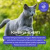 Premium Liquid Glucosamine for Cats - Hip & Joint Cat Supplement – 2oz