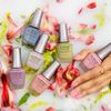 Pure Beauty Spring 2023 Nail Polish Collection - B
