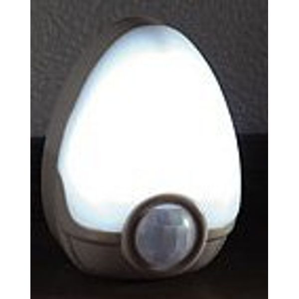 miniminisensa-raito Egg Mmsl – EG