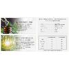 Noto 能登 Reborn. Essential Oils 5ml