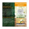 Quercetin 500mg with Bromelain Supplement, Bioactive Phytosome Complex, Pure ...