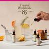 Bach Original Flower Remedies, Sweet Chestnut for Optimism, Natural Homeopathic Flower Essence, Holistic Wellness and Stress Relief, Vegan, 20mL Dropper