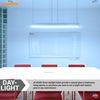 Sunlite 12-Inch F8T5/DL T5 Linear Fluorescent Lamp, 8 Watts, 310 Lumens, 6500K Daylight, Miniature G5 Bi-Pin Base, ROHS Compliant, High Performance Straight Tube, 10 Pack