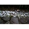 Knightsbridge - 230V IP65 GU10 Polycarbonate Spike Light - Anthracite