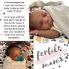 Moon Mama Fertility Tea Bundle - New Bundle