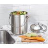 InterDesign Basic Compost Bin with Charcoal Philtres, Stainless Steel Kitchen