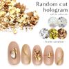 irogel Nail Art Random Cut Hologram Clear Aurora
