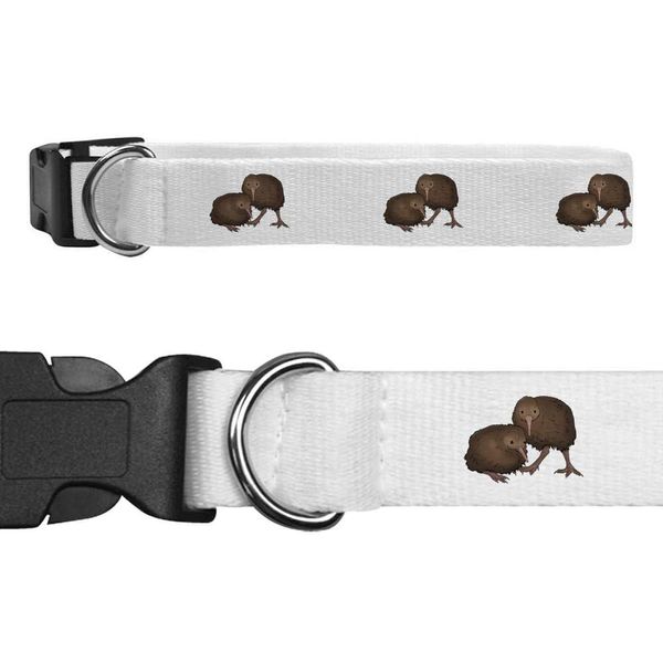 Large 'Kiwi Birds' Dog Collar (PR00059512)