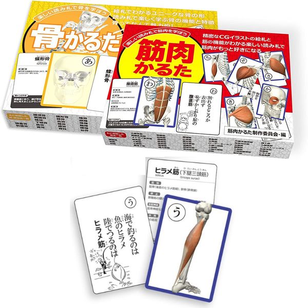 Bone Muscle Karuta Set (Bone Karuta + Muscle Karuta)