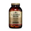 Solgar L-Lysine 500 mg, 250 Vegetable Capsules - Enhanced Absorption & Assimilation - Promotes Integrity of Skin & Lips - Collagen Support - Amino Acids - Non-GMO, Vegan, Gluten Free - 250 Servings